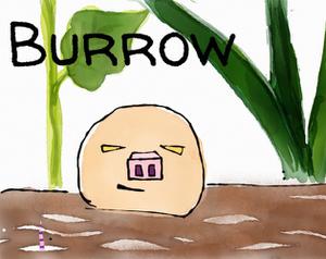 play Burrow