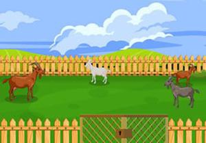 play Diary Horse Escape