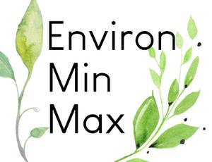 play Environminmax