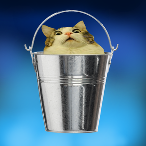 Bucket Cat
