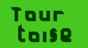 play Tourtoise