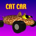 play Cat Car
