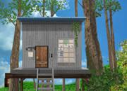 play Restaurant Forest