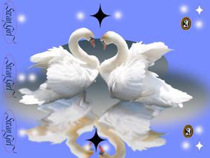 play Swan Girl