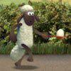 play Sheep Chicken N Spoon