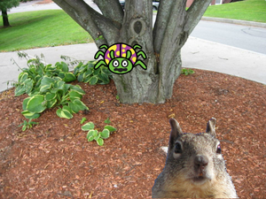 play Eat The Bugs!!!