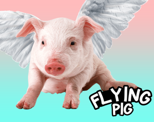 play Flying Pig