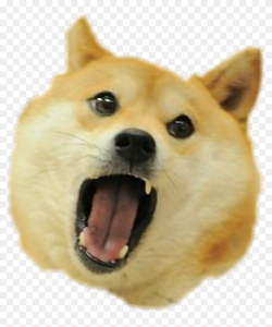 play Dog Simulator - End Of The World