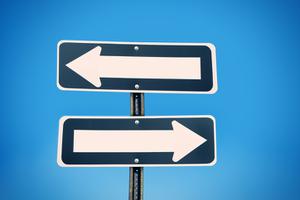 play The Dual-Minded Trip