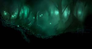 play In The Unknown Forest