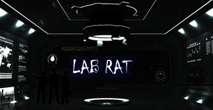 play Lab Rat