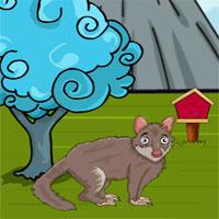 play Games2Jollytiger-Quoll-Rescue