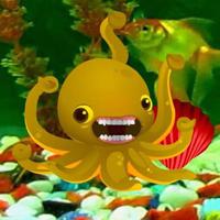 play Crowntail Betta Fish Escape Html5