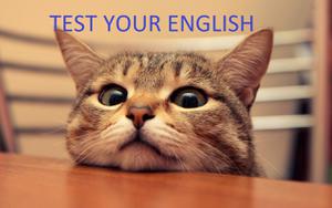 play Demo-Test Your English