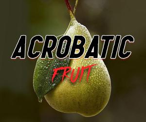 play Acrobatic Fruit