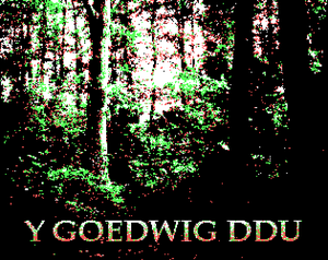 play Y Goedwig Ddu