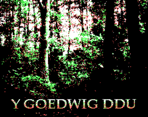 Y Goedwig Ddu