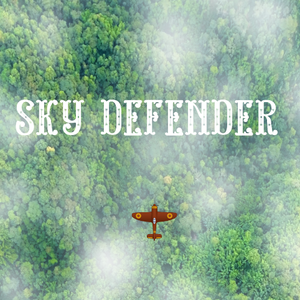 play Sky Defender