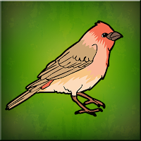 play G2J House Finch Escape