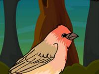 play House Finch Escape