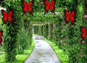 play Dazzling Garden Escape