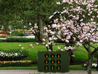 play Dazzling Garden Escape