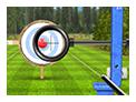 play Archery World Tour