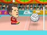 play Head Sports Volleyball
