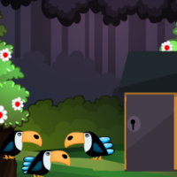 play G2L Bird Rescue Html5