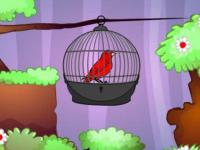 play Bird Rescue