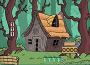 play Grandma Escape From Forest