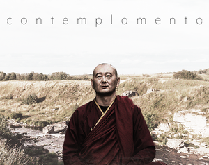play Contemplamento