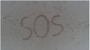 play The Island Crash