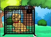 play Mother Dog Rescue