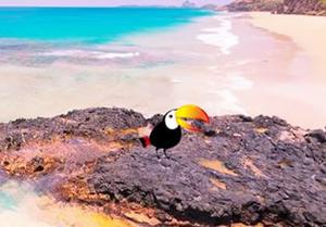 play Brazil Island Escape