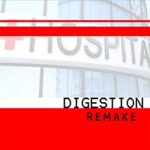 play Digestion Remake