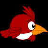 play The Bird Is The Word