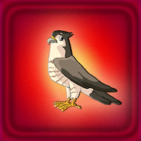 play G2J Cute Falcon Bird Escape