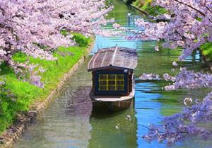 play Japanese Blossom Garden Escape