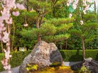 play Japanese Blossom Garden Escape