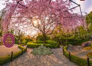 play Japanese Blossom Garden Escape