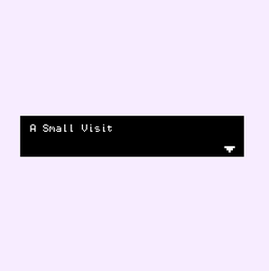 A Small Visit