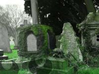 play Last Of Cemetery Escape
