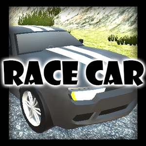 play Car Race Game