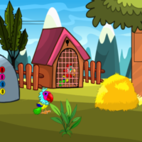 play G2M Macaw Couple Escape Html5