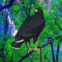 play Black Hawk Escape Html5