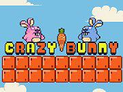 play Crazy Bunny