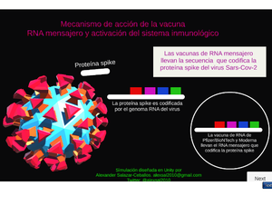 Mecanismo De Acción De La Vacuna Del Rna Mensajero Contra El Covid-19
