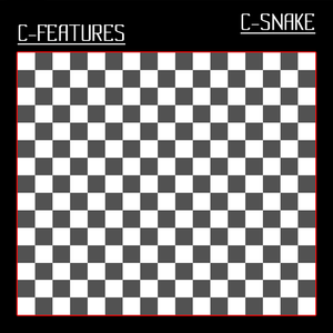 play C-Snake