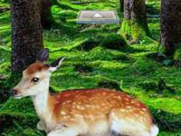 play Bright Deer Forest Escape